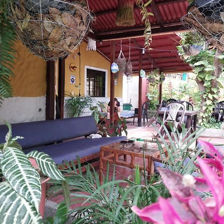 Mi Refugio Tayrona Hotel Santa Marta  Ngoại thất bức ảnh