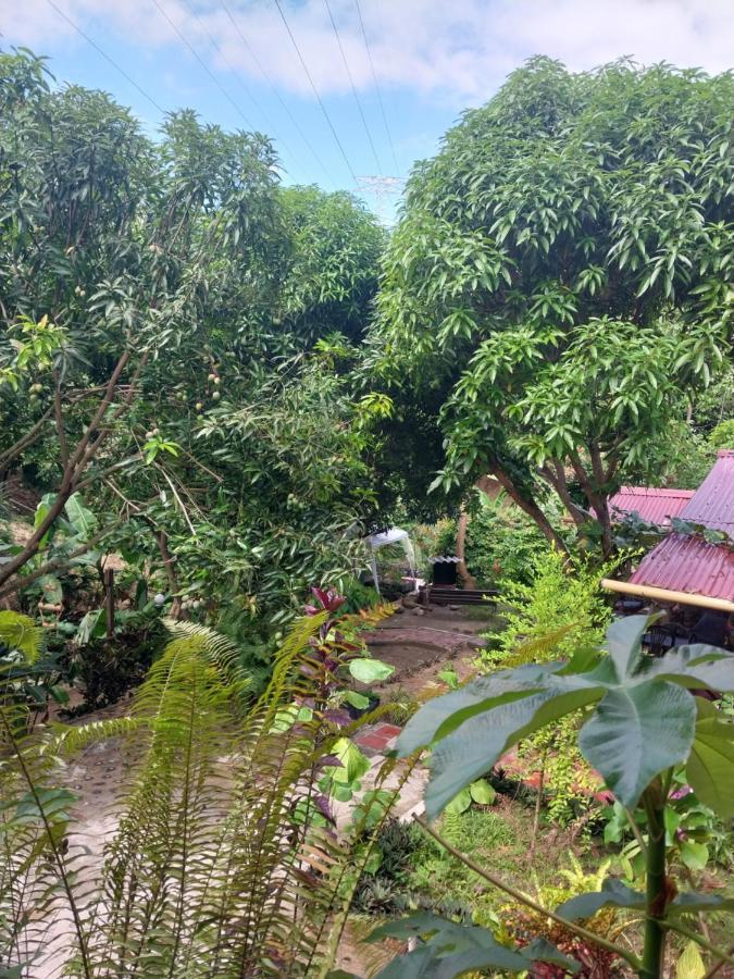Mi Refugio Tayrona Hotel Santa Marta  Ngoại thất bức ảnh